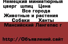 Немецкий миниатюрный(цверг) шпиц › Цена ­ 50 000 - Все города Животные и растения » Собаки   . Ханты-Мансийский,Лангепас г.